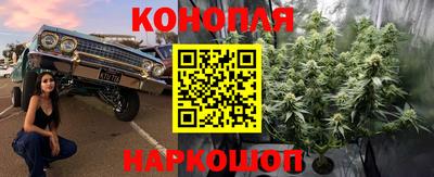 молекула духа Берёзовский